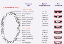 Порядок прорізування зубів: норми і відхилення